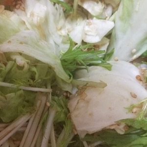 簡単☆キャベツと水菜の温サラダ